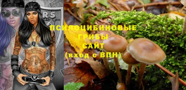 дурь Алексин