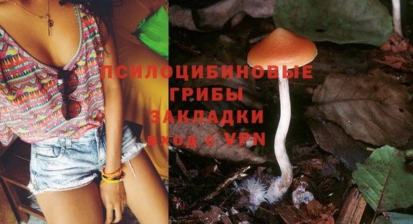 дурь Алексин