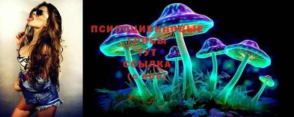 дурь Алексин